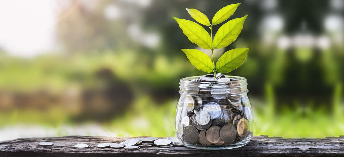 Mostly Free, Always Upfront JPesa International